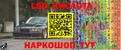 гашик Новозыбков