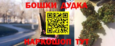 гашик Новозыбков