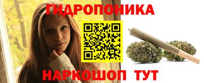 гашик Новозыбков
