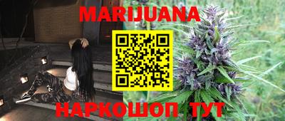 гашик Новозыбков